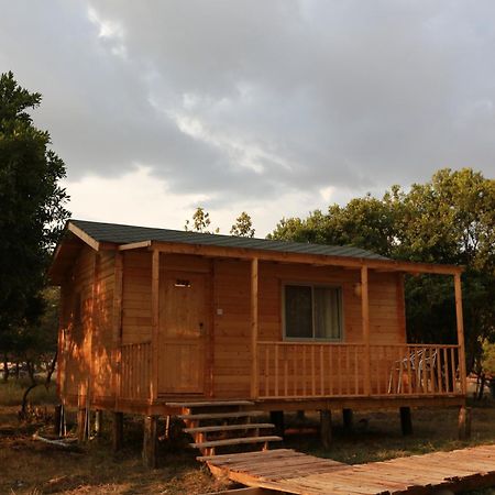 Jambo Mara Safari Lodge Ololaimutiek Szoba fotó