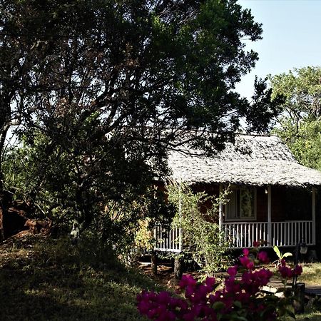 Jambo Mara Safari Lodge Ololaimutiek Kültér fotó