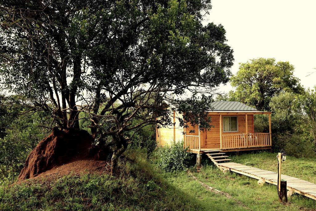 Jambo Mara Safari Lodge Ololaimutiek Szoba fotó