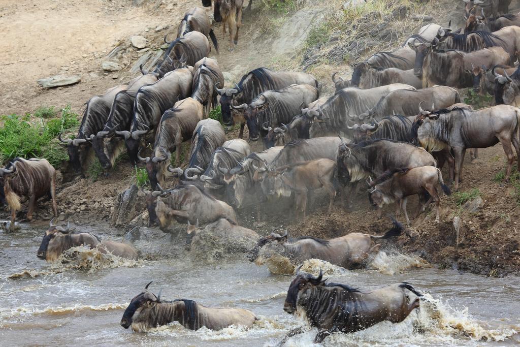 Jambo Mara Safari Lodge Ololaimutiek Kültér fotó