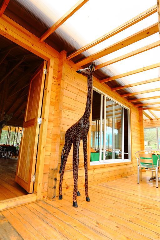 Jambo Mara Safari Lodge Ololaimutiek Szoba fotó