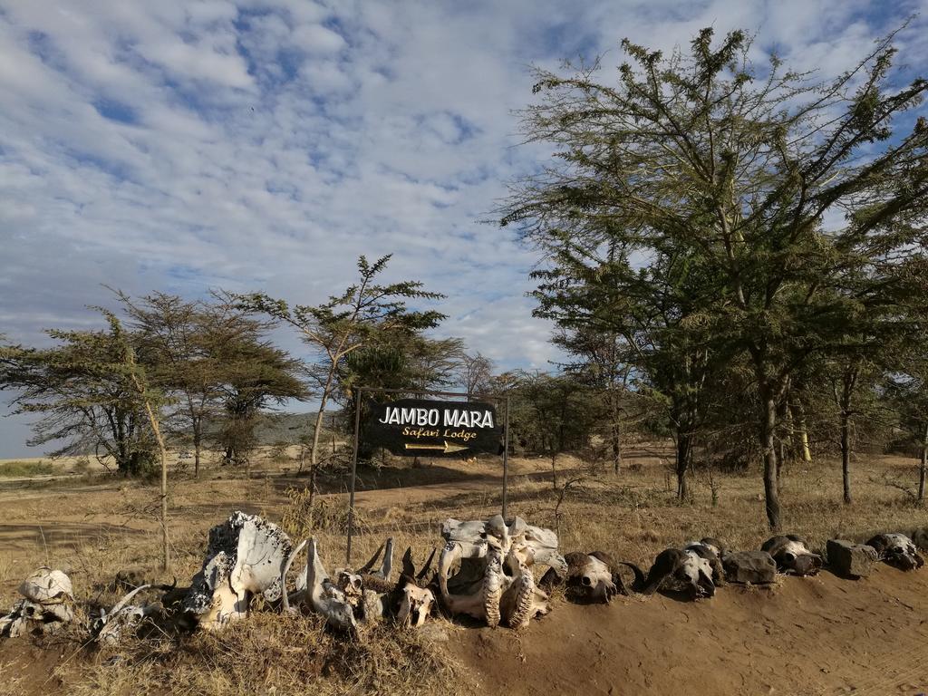 Jambo Mara Safari Lodge Ololaimutiek Kültér fotó