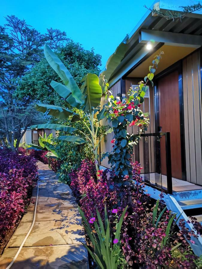 Jambo Mara Safari Lodge Ololaimutiek Kültér fotó