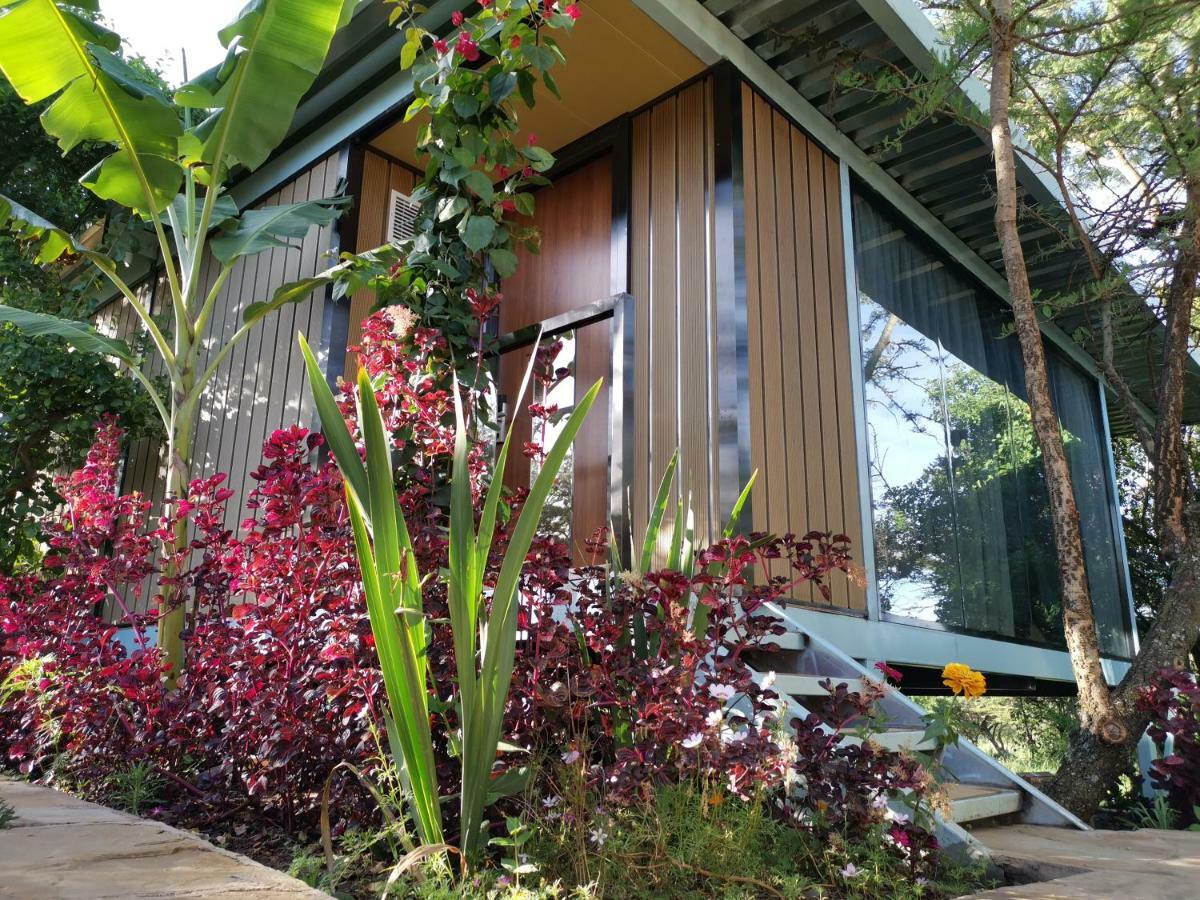 Jambo Mara Safari Lodge Ololaimutiek Kültér fotó