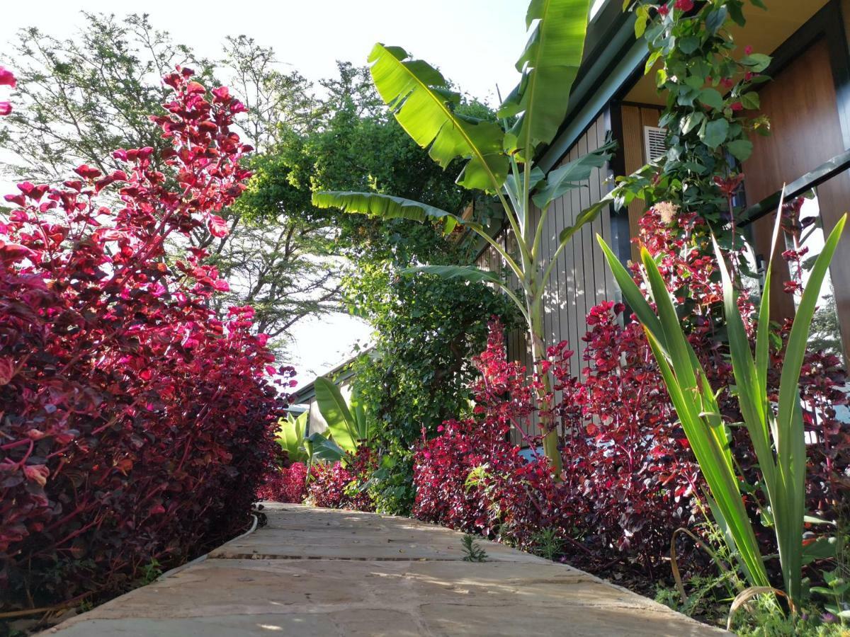 Jambo Mara Safari Lodge Ololaimutiek Kültér fotó