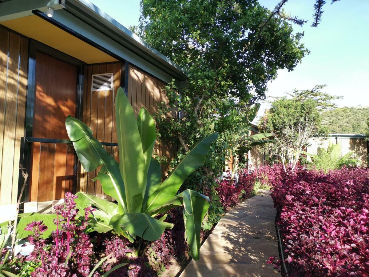 Jambo Mara Safari Lodge Ololaimutiek Kültér fotó
