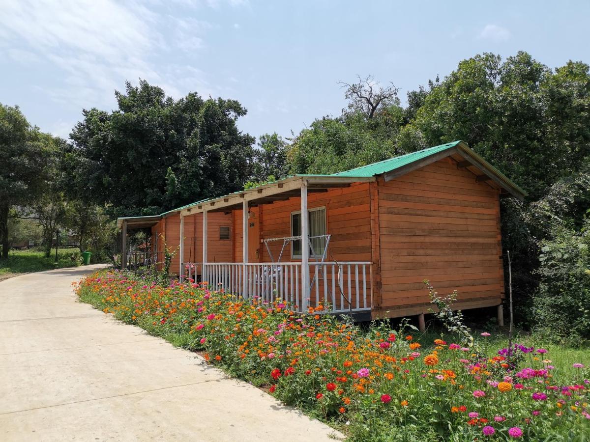 Jambo Mara Safari Lodge Ololaimutiek Kültér fotó